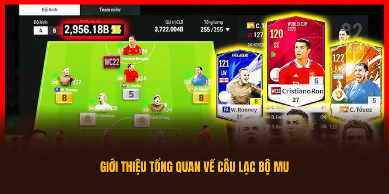 Giới thiệu tổng quan về câu lạc bộ MU